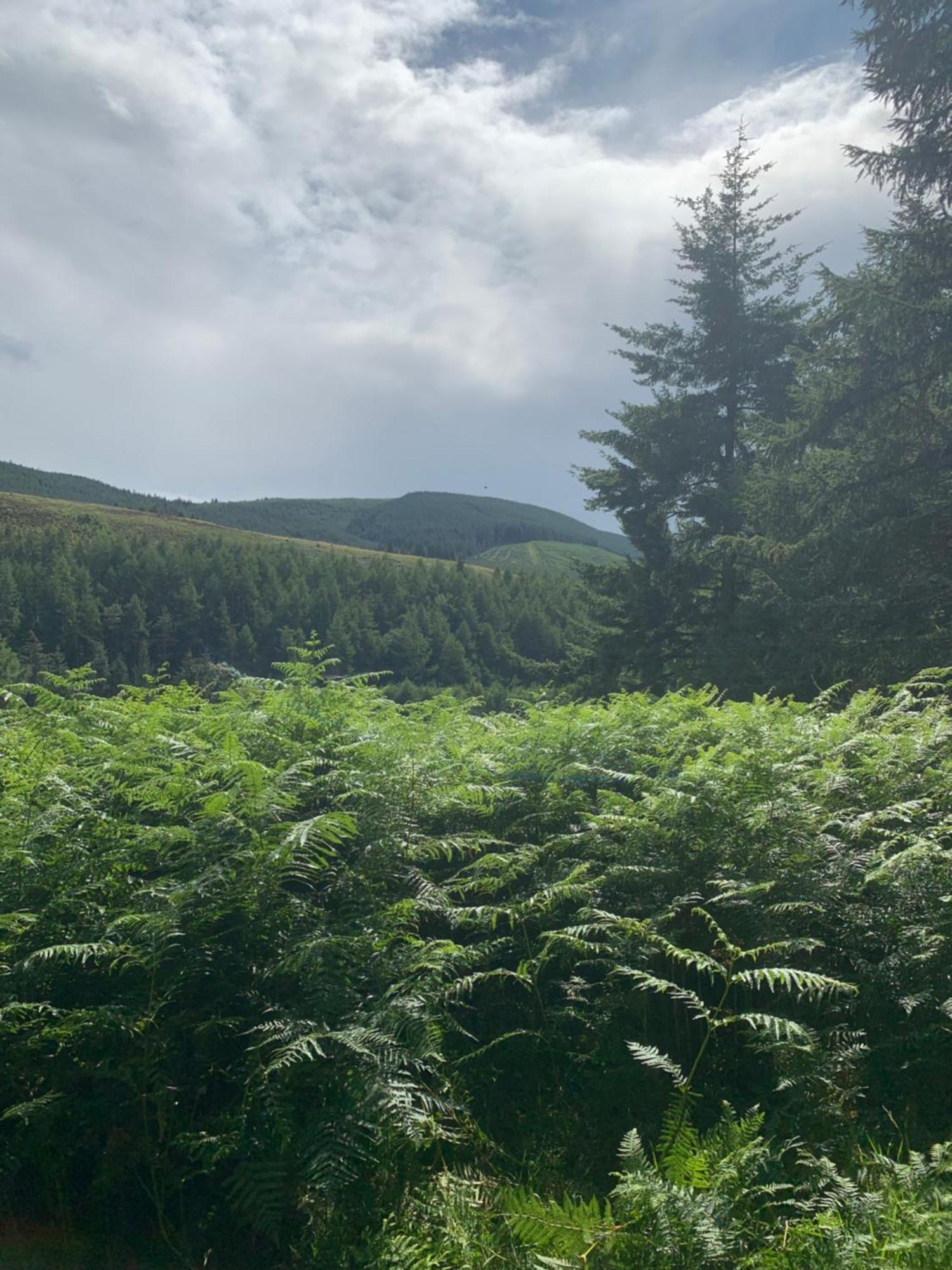 Corrie Lodge, Glendevon Bagian luar foto